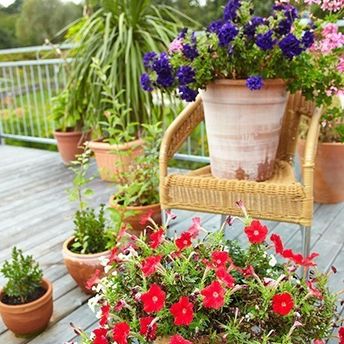 Blumenladen
