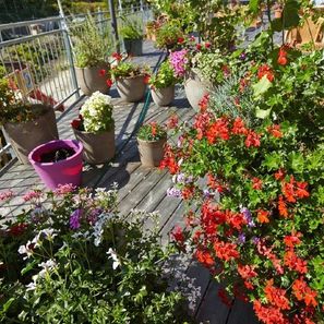 Blumen
