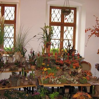 Pflanzen Blumenladen